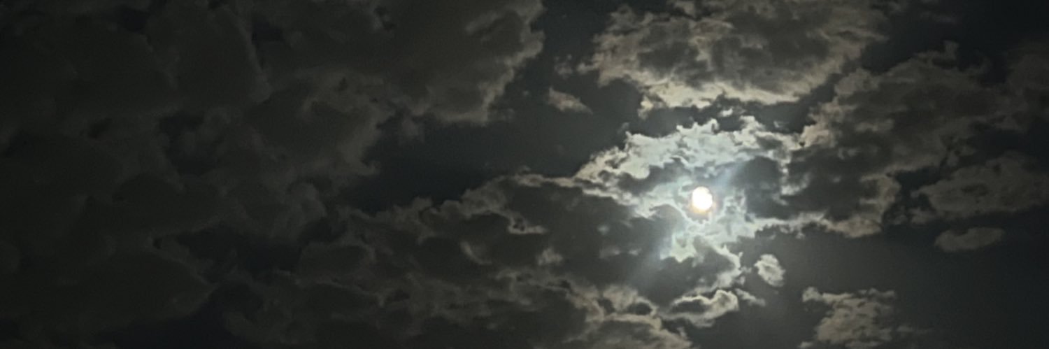 fabled_ph03nix's profile banner image