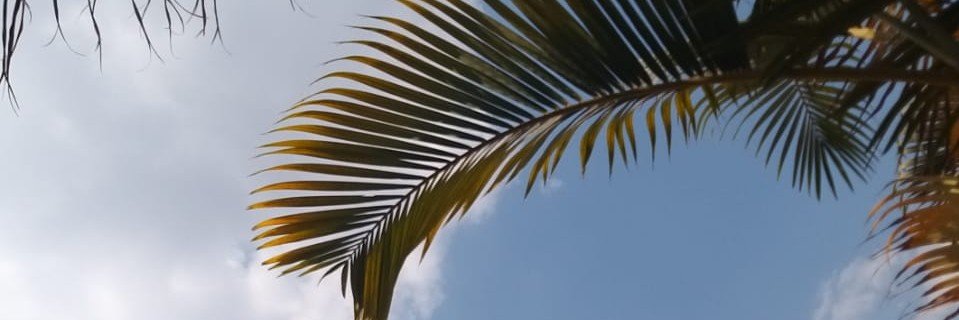 Ray_bernicee's profile banner image