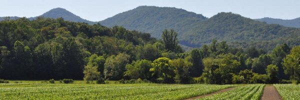 chefhopkins Profile Banner