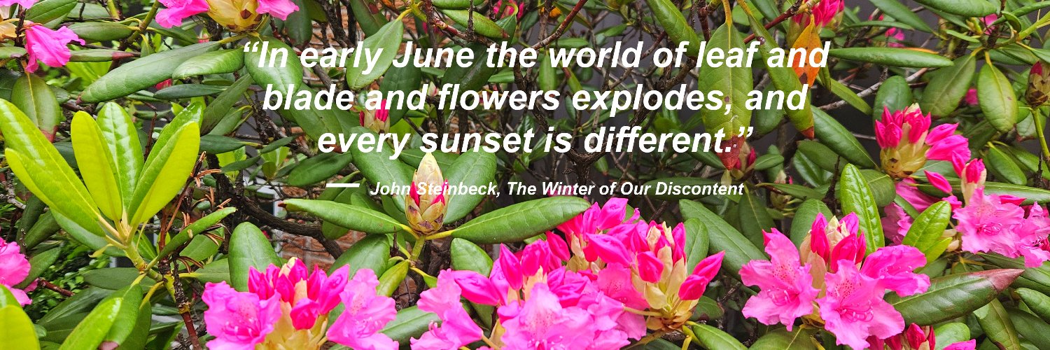 Dale Rogerson banner