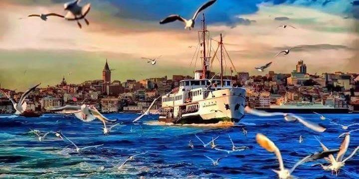 EbruDorman's profile banner image