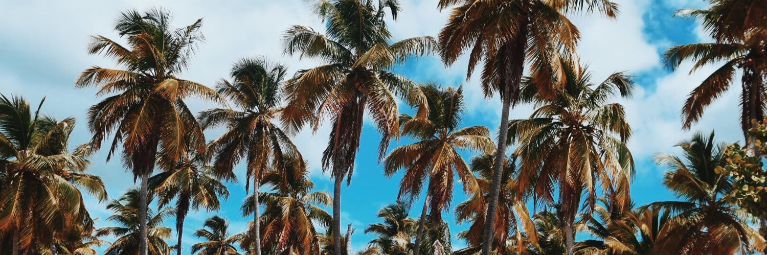 PiliValenzuelaa's profile banner image