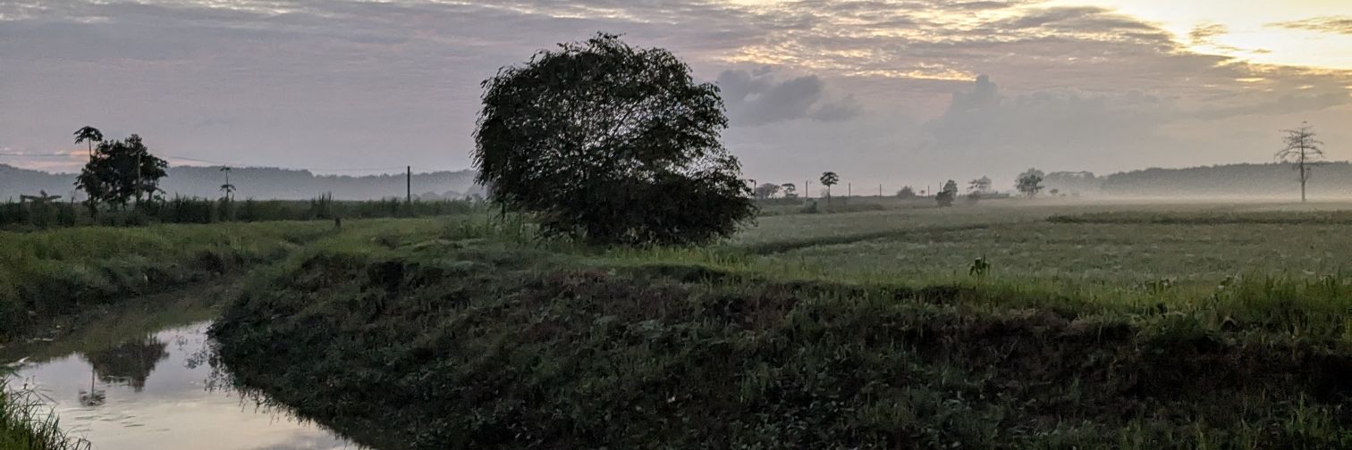 separowghendeng's profile banner image
