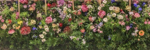 💐 ◦ ◦꒰ homer ꒱'s banner