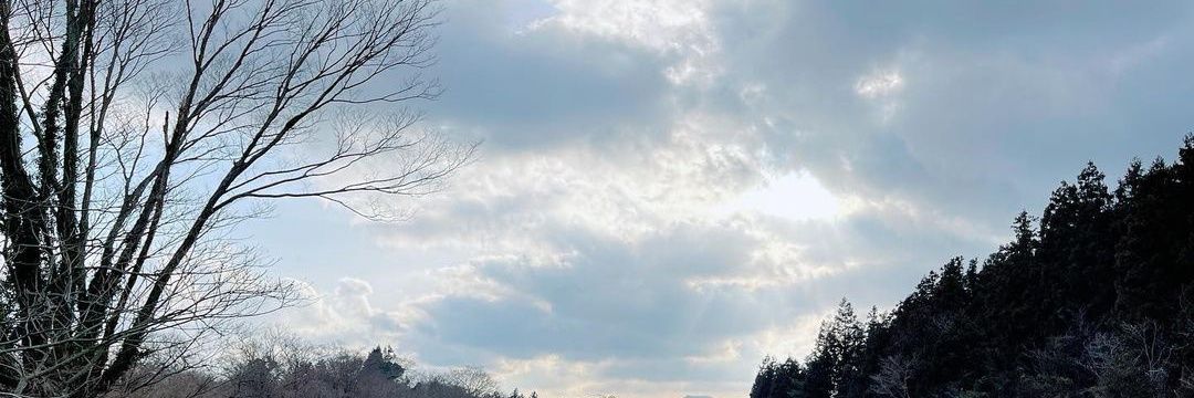 ∆nf. banner