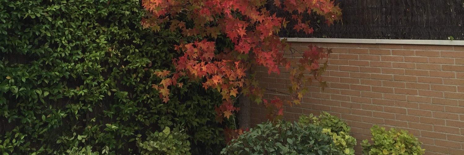 alexbauloye's profile banner image