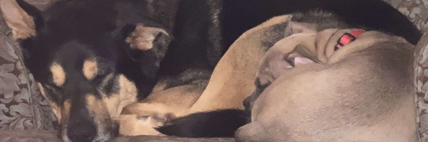 HeavyDavide's profile banner image