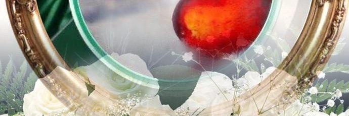 aboseemh's profile banner image
