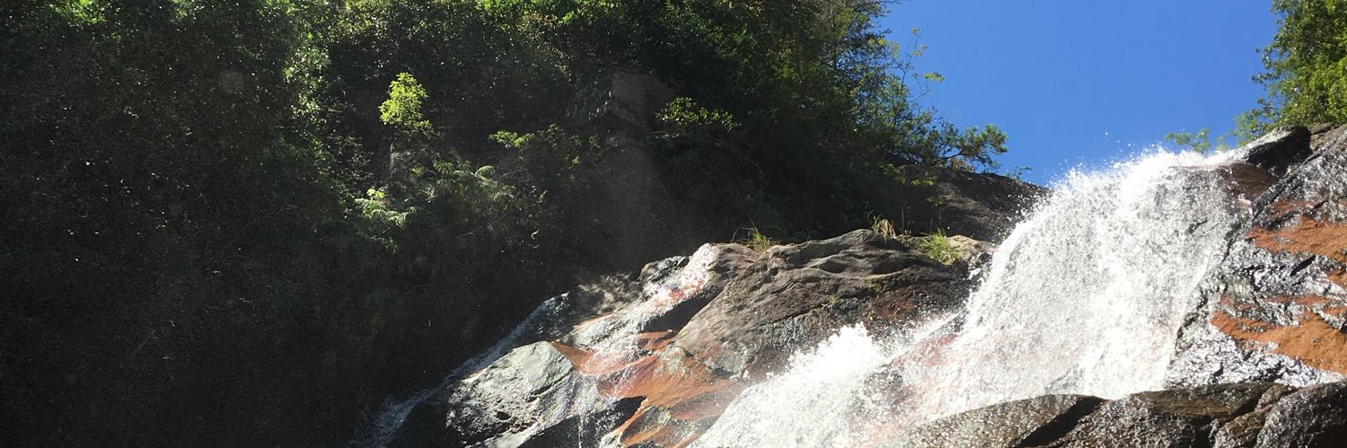 ほむら@楽して行きたい banner