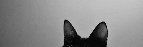 iammyself92's profile banner image