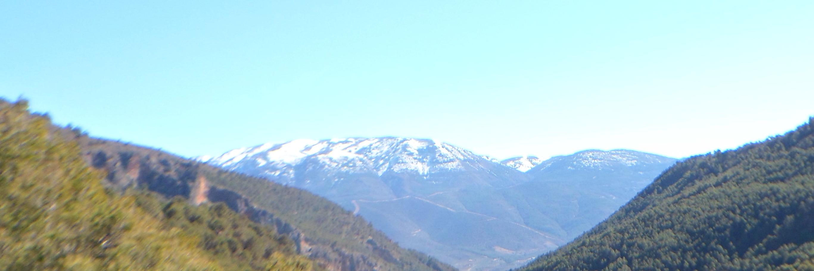 Algarvi's profile banner image