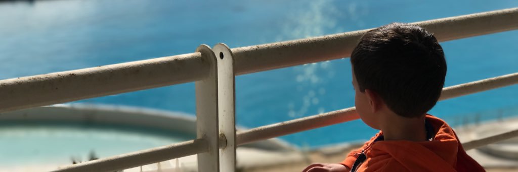 dcabai's profile banner image