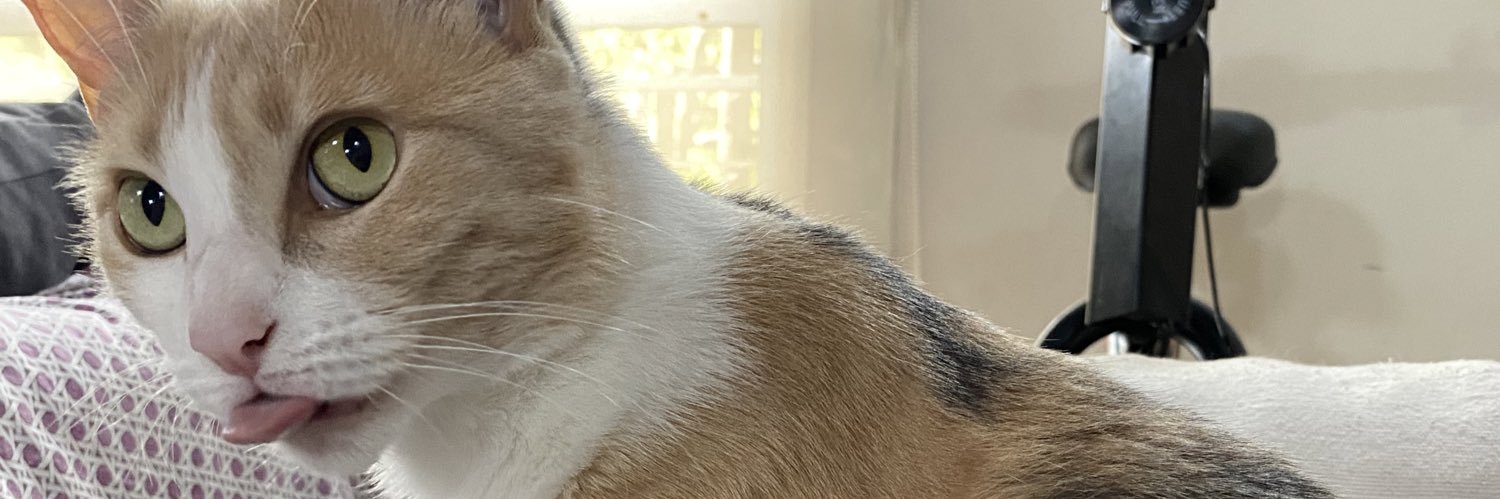 Micaela Perez banner