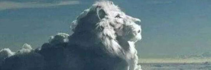 OxwinnerfromPH's profile banner image