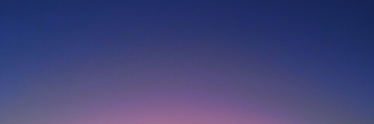 babirimon's profile banner image