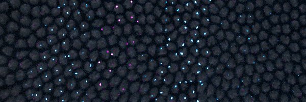 philippe_batut Profile Banner