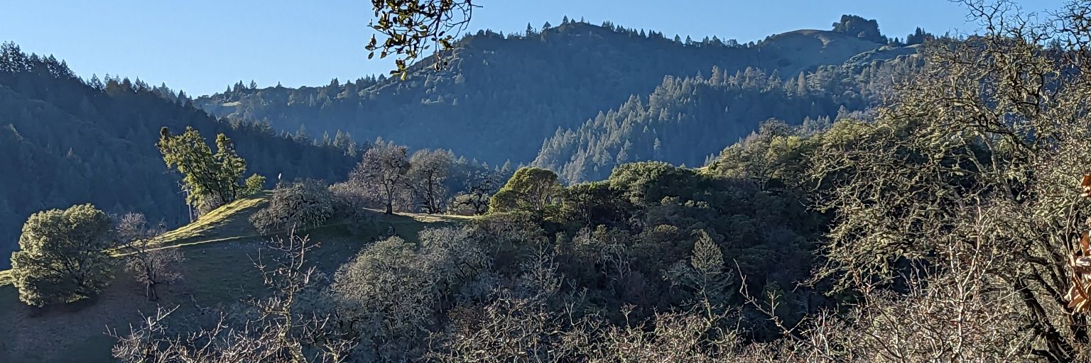 Paradise Kingdom 🇱🇧 🏳️‍🌈 (Communitarian) banner