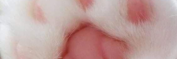 ;-;; banner