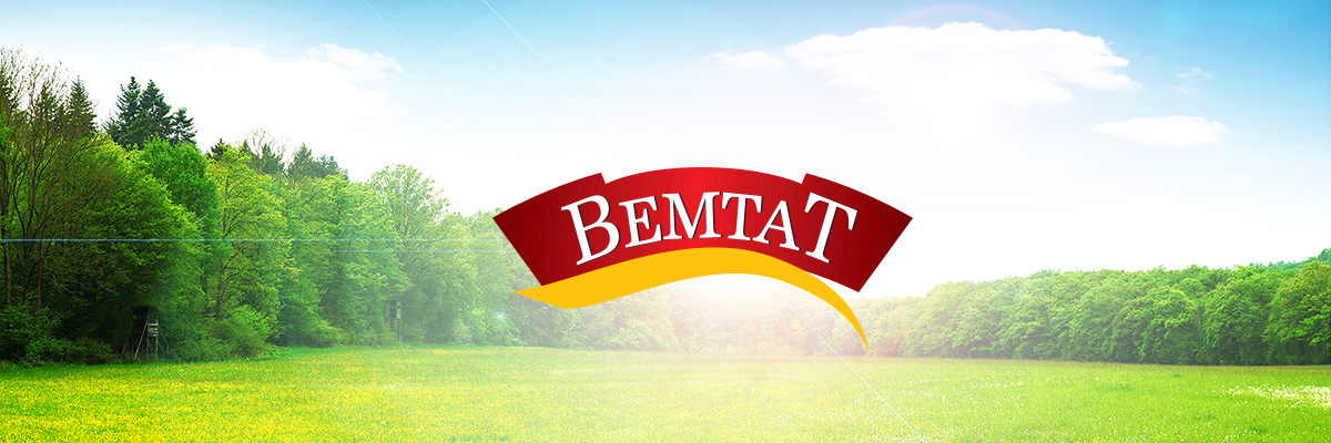 BemtatUn's profile banner image