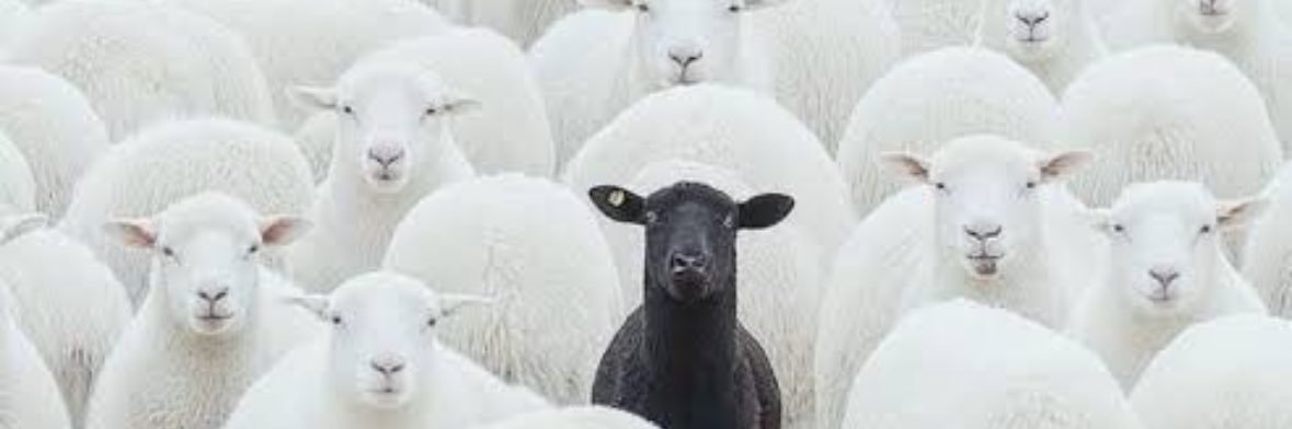 anilhini🇹🇷🇳🇬 banner