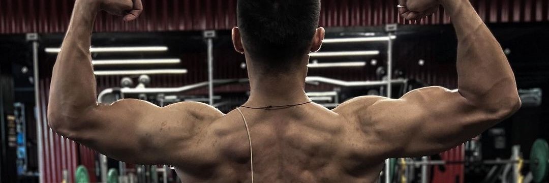 randomtit's profile banner image