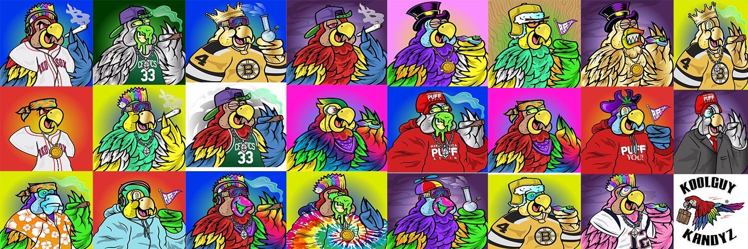 PufftheParrot's profile banner image