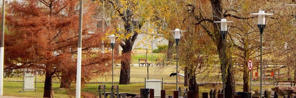 anafavreau's profile banner image