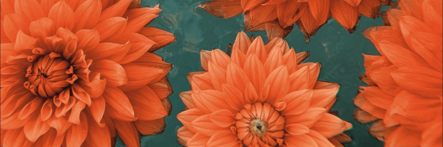 mikeboyceesq's profile banner image