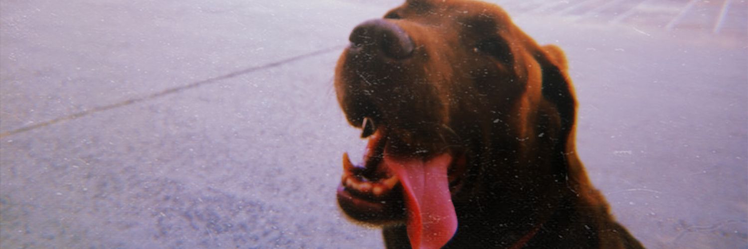 ManonLvq's profile banner image