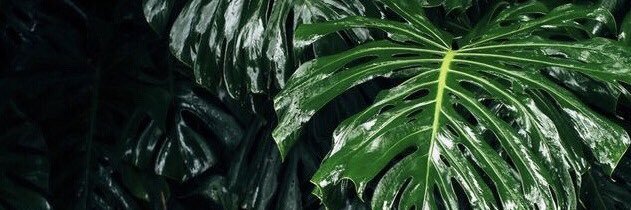 Charl0tte_BB's profile banner image