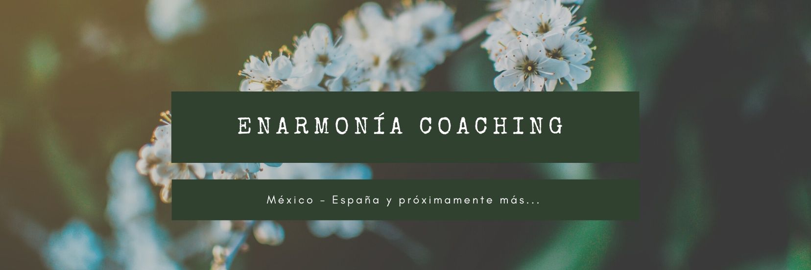 PAUGLEZGALVEZ's profile banner image