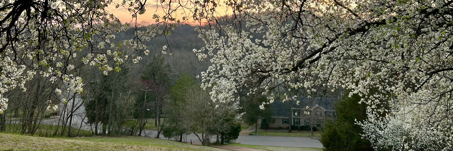KathrynDarden's profile banner image