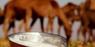Alro0oh_12441's profile banner image