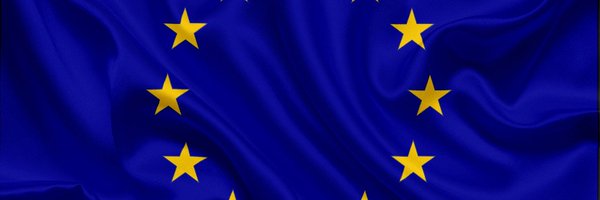 FurryDespot Profile Banner