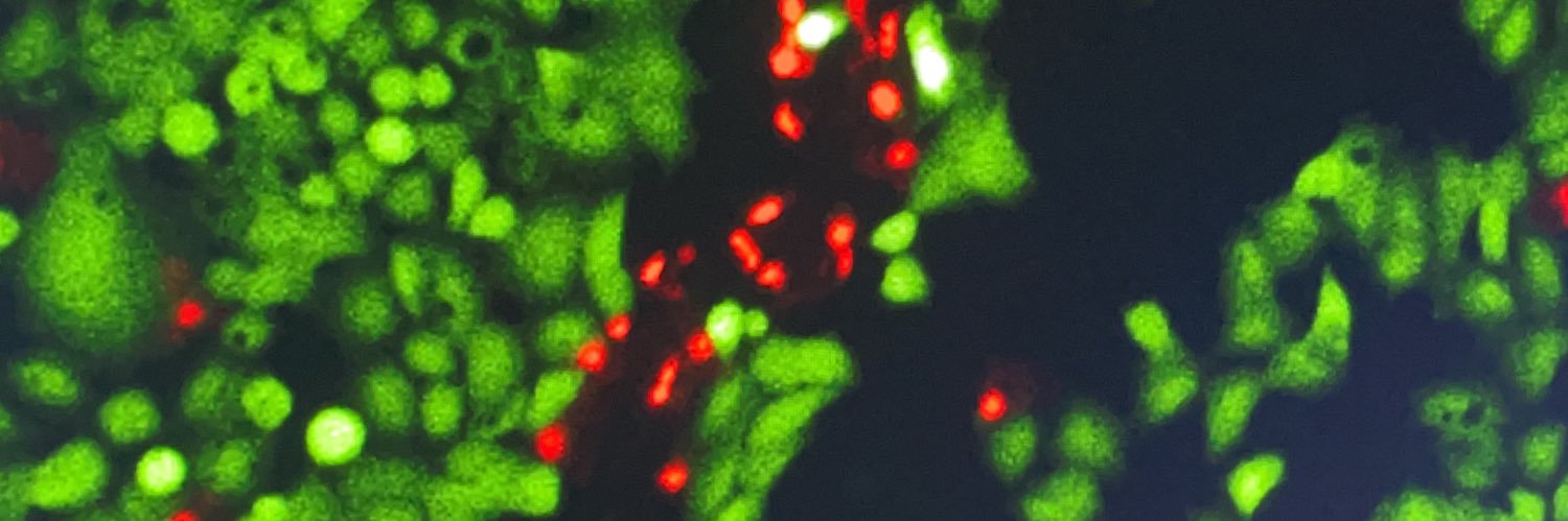 Nicholas Calvert banner