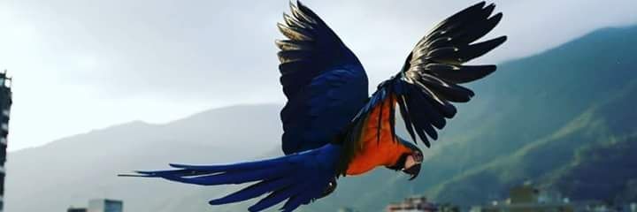 mauryn27's profile banner image