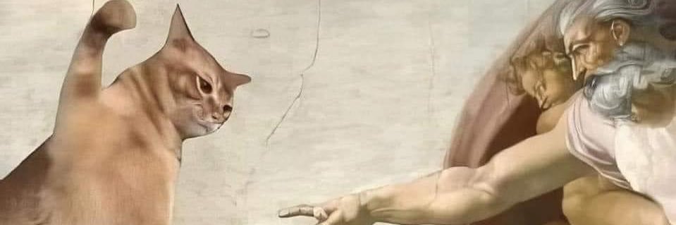 .𖥔𝑨𝒏𝒚🥥 banner