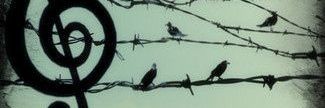 Atakan_ca's profile banner image