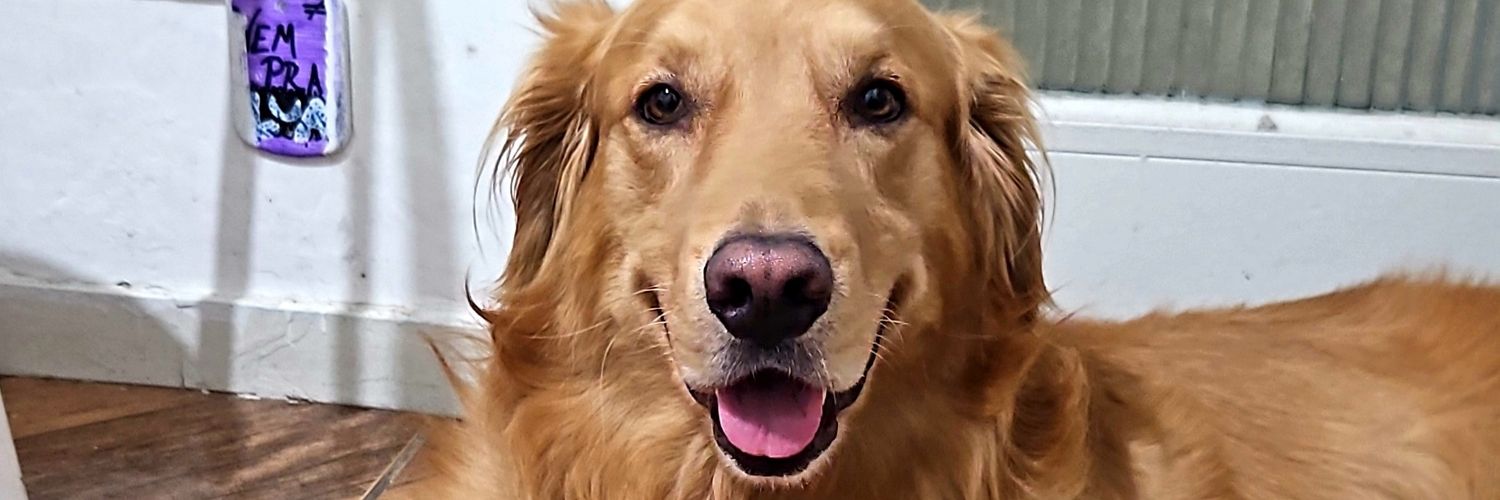 Wandeir Silva banner