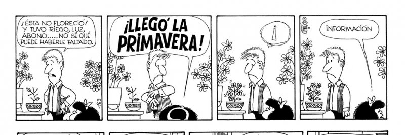 Primavera Téllez Girón banner