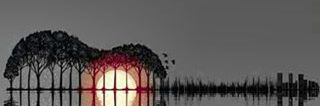 williamslobo16's profile banner image