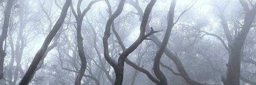 ✨Ether | Tylenol Elemental banner