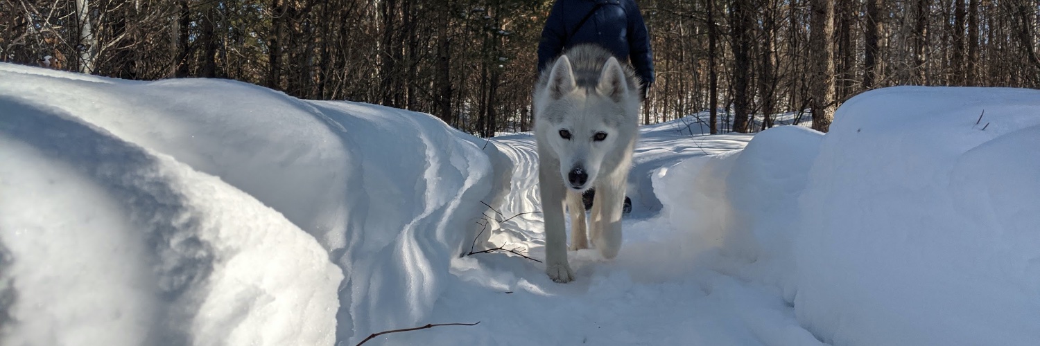 paws2trail's profile banner image