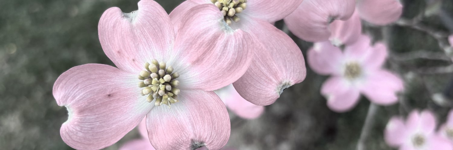 Patience 🖤 banner