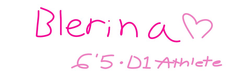 Blerina banner