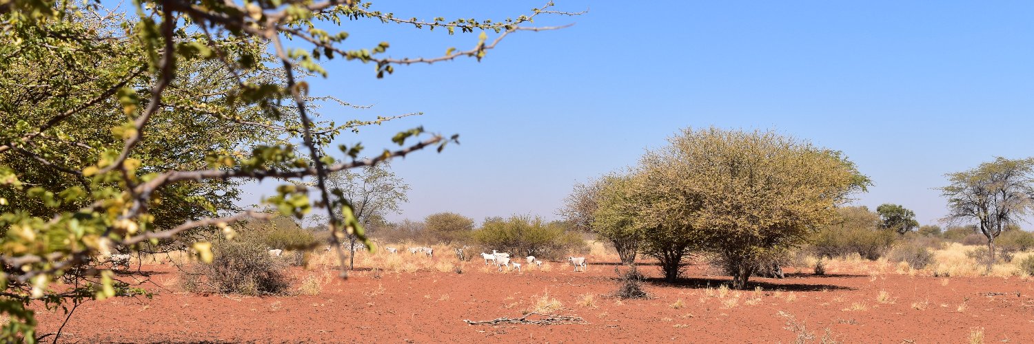 Anne Kinsella banner