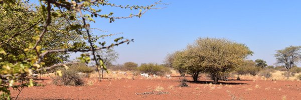 AnneKinsella4 Profile Banner