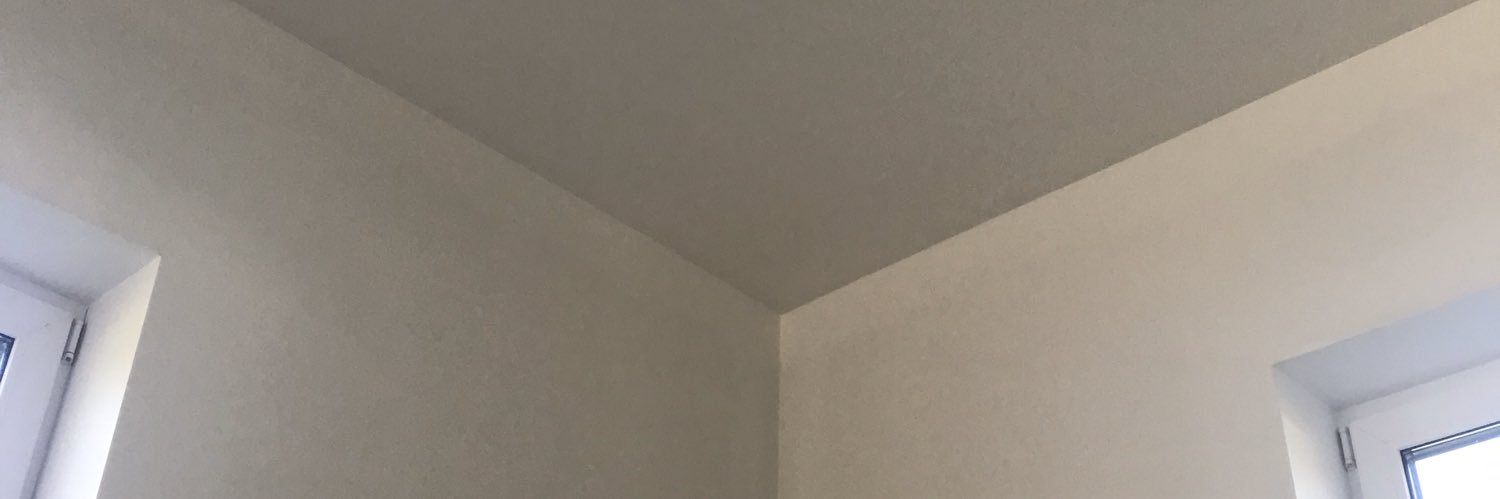 ruuuuuudis's profile banner image