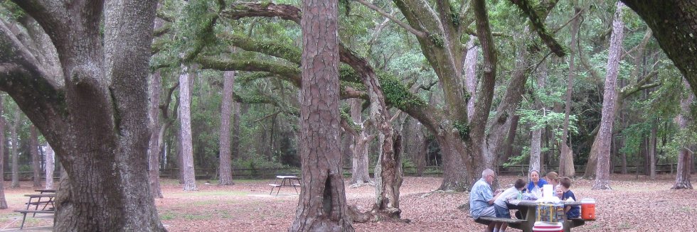 Drew McAllister banner