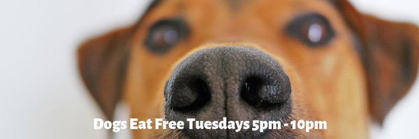 stanleysbarroom Profile Banner